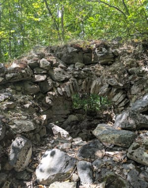 Découverte forestière du Cloutas - Les Vigneaux - 6