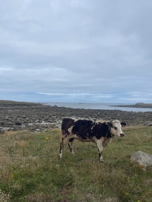 Grand tour de l'île de Batz et beauté de ses plages - Île de Batz - 41