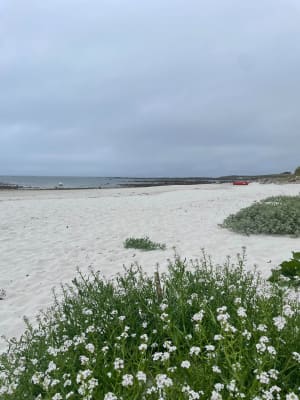 Grand tour de l'île de Batz et beauté de ses plages - Île de Batz - 43