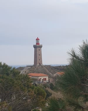 Sentier de Port-Vendres et paysages colorés et lumineux - Port-Vendres - 30