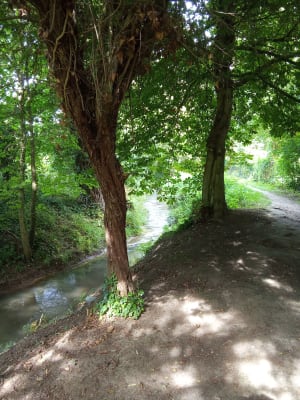 Balade entre Achicourt et Wailly - Achicourt - 8