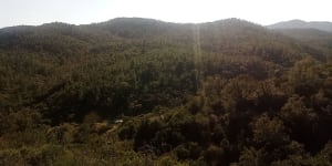 Sur les traces du Roc d'Azur - Roquebrune-sur-Argens - 5