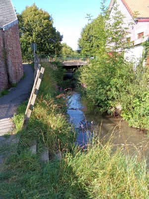 Balade entre Achicourt et Wailly - Achicourt - 9