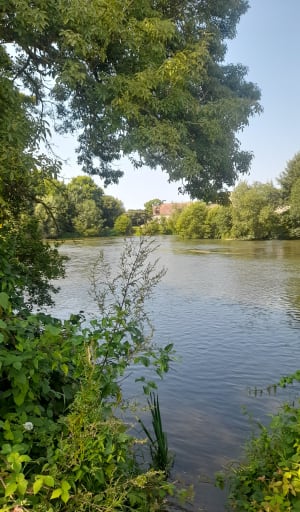 Entre plans d'eau et rivières au départ de Spay - Spay - 6