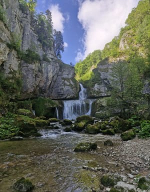 Excursion entre Cascade de la Billaude et étang des Pêchettes - Le Vaudioux - 6