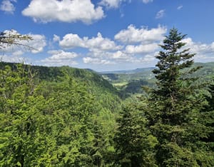 Excursion entre Cascade de la Billaude et étang des Pêchettes - Le Vaudioux - 7