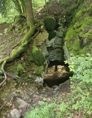 Excursion entre Cascade de la Billaude et étang des Pêchettes - Le Vaudioux - 8