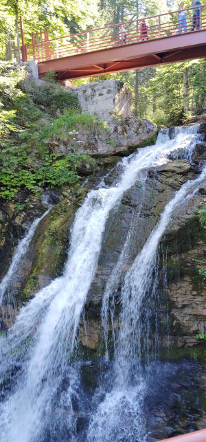 Tour du lac de Montriond et la jolie cascade d’Ardent - Montriond - 74