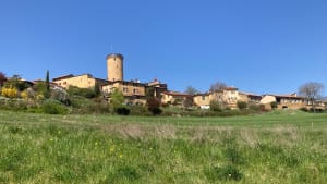 Boucle sur Frontenas, Oingt, Theizé - Frontenas - 19