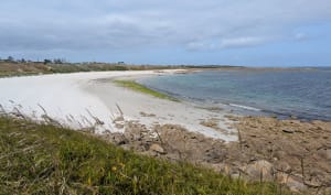 Grand tour de l'île de Batz et beauté de ses plages - Île de Batz - 37