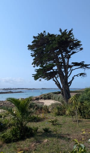 Grand tour de l'île de Batz et beauté de ses plages - Île de Batz - 38