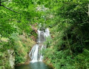 Pause fraîcheur. - Pont-de-Montvert-Sud-Mont-Lozère - 7