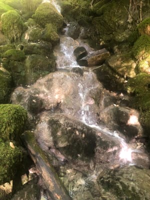 Lathuile et le Lac - Lathuile - 10