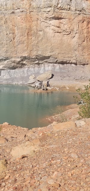 De Trincades en de Blauwe Lagune van Maussane-les-Alpilles - Maussane-les-Alpilles - 73