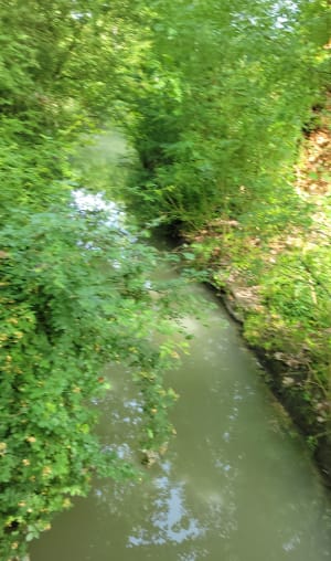 Marais du Langon - Am - 10