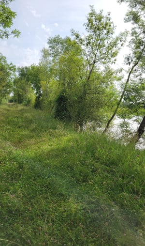 Marais du Langon - Am - 14