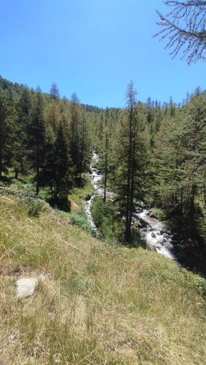 Rondleiding door het prachtige meer van Allos vanuit La Cluite - Allos - 3