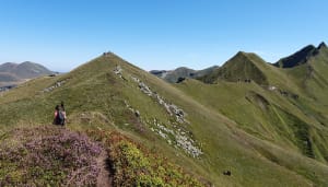 Klim naar de Puy de Sancy aan de Chastreix-zijde - Chastreix - 14