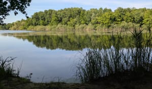 Indrukwekkend Lac du Der en visreis - Giffaumont-Champaubert - 5