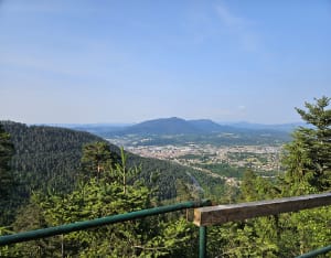 Tour du Kemberg - Saint-Dié-des-Vosges - 11