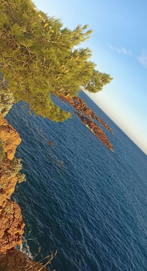 Kustpad van St Raphaël naar Boulouris - Saint-Raphaël - 53