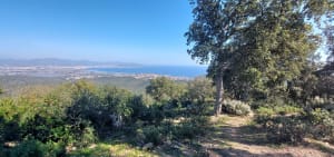 Sur les traces du Roc d'Azur - Roquebrune-sur-Argens - 6