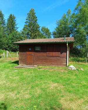 Korte familiewandeling in Fresse-sur-Moselle - Fresse-sur-Moselle - 9