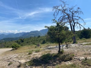 Rando au Mont Arpasse - Levens - 6