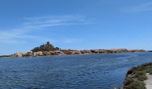 Tour de l'étang de Gruissan - Gruissan - 16