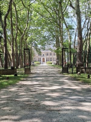 Circuit dans la forêt de Méridon - Chevreuse - 10