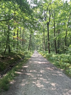Circuit dans la forêt de Méridon - Chevreuse - 11