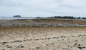 Parcours à Locmariaquer en bord de mer et rochers - Locmariaquer - 5
