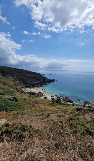 Nez de Jobourg, falaises et bocages normands - Jobourg - 9