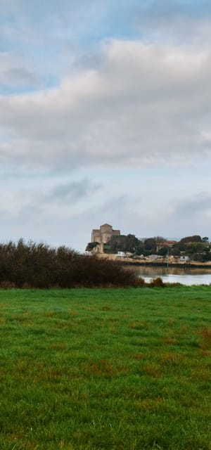 Barzan, Talmont sur Gironde en passant par les marais - Severine - 10