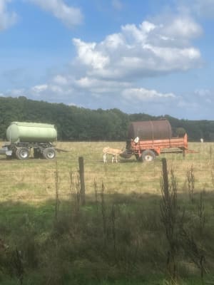 Chevreuse, GR®, forêt et rivière - Chevreuse - 10