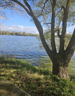 Balade autour du plan d'eau des Couleyras - Joze - 12