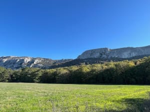 Ontsnap naar het Sainte-Baume-massief naar Saint-Pilon - Plan-d'Aups-Sainte-Baume - 25