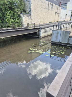 La découverte de Longué-Jumelles - Longué-Jumelles - 5