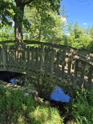La découverte de Longué-Jumelles - Longué-Jumelles - 8