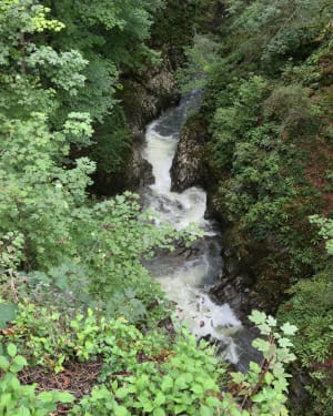 Etre saisi par les gorges de la Saine et de la Langouette - Les Planches-en-Montagne - 47