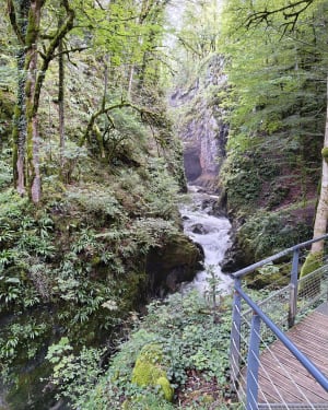 Etre saisi par les gorges de la Saine et de la Langouette - Les Planches-en-Montagne - 48