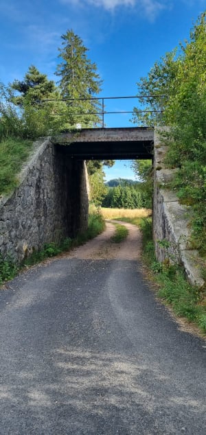 Marche vivifiante autour de Usson en Forez - Usson-en-Forez - 9
