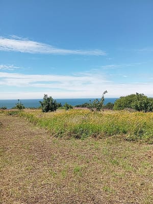 Fécamp, route par Grainval, retour plage - Fécamp - 16