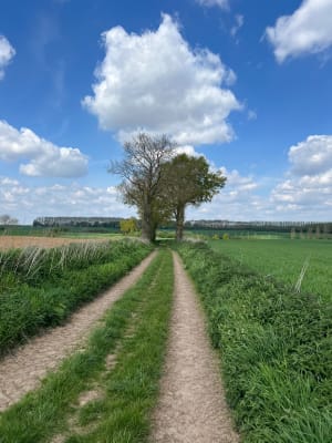 Le circuit des Baudets - Villers-au-Bois - 6