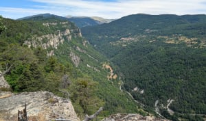 Boucle des Grés d'Annot et merveilles de la nature - Annot - 7