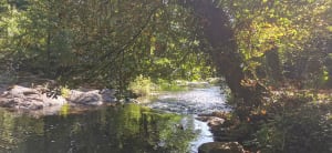 Et encore une balade dans Clisson - Clisson - 6