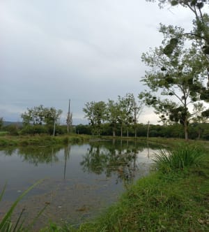 Balade le long du canal, la Bussière sur Ouche - Dijon - La Bussière-sur-Ouche - 3