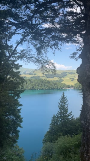 Meer Pavin, Puy Montchal en meer Estivadoux - Besse-et-Saint-Anastaise - 28
