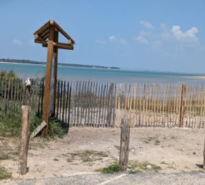 Dans les terres en Charente-Maritime - La Tremblade - 8