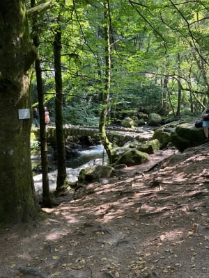 Le saut des cuves - La Roche du Page - Xonrupt-Longemer - 8